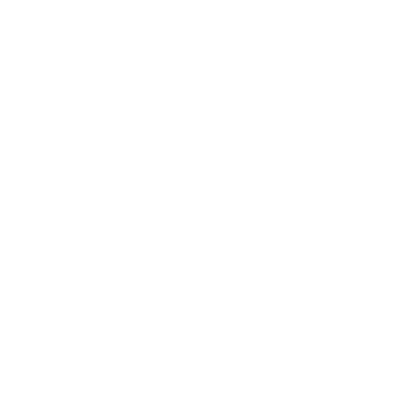 Little Tern Project